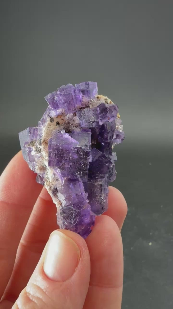 Fluorite from Hastie's Quarry, Illinois DM1026