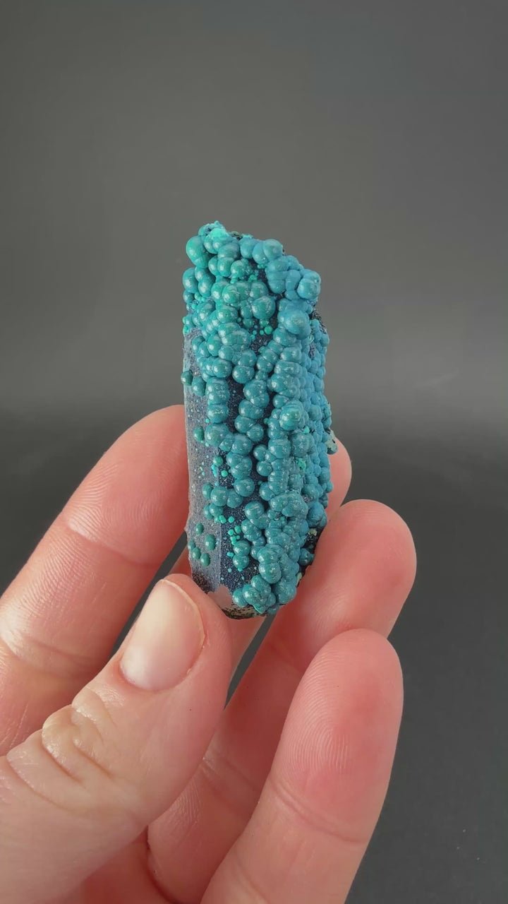 2" Quartz with Chrysocolla from Tentadora Mine DX1548