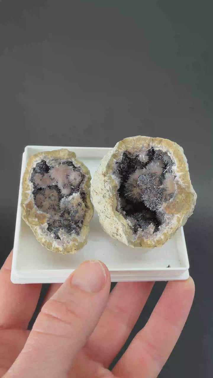Kutnohorite with Aragonite Geode from Italy DX3523
