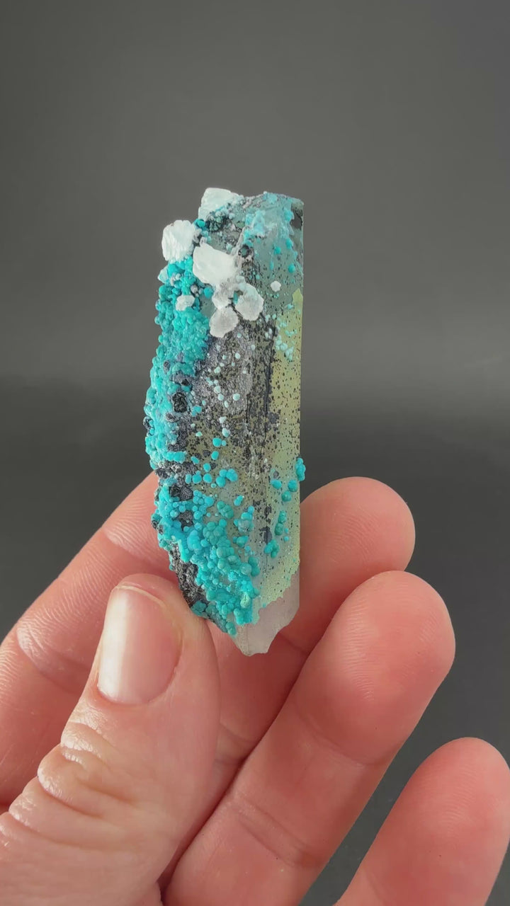 2" Quartz with Chrysocolla from Tentadora Mine DX1573
