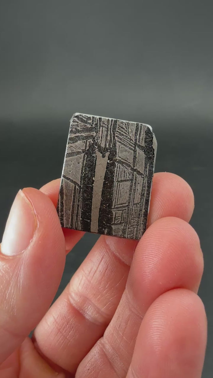 Aletai Meteorite Slab TF1108