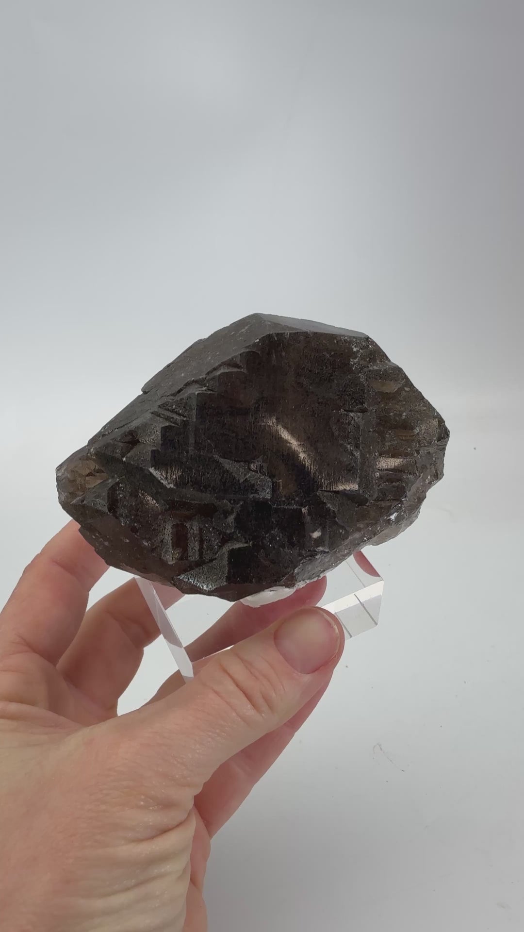 Smoky Quartz Gwindel from Mt. Blanc DX4590