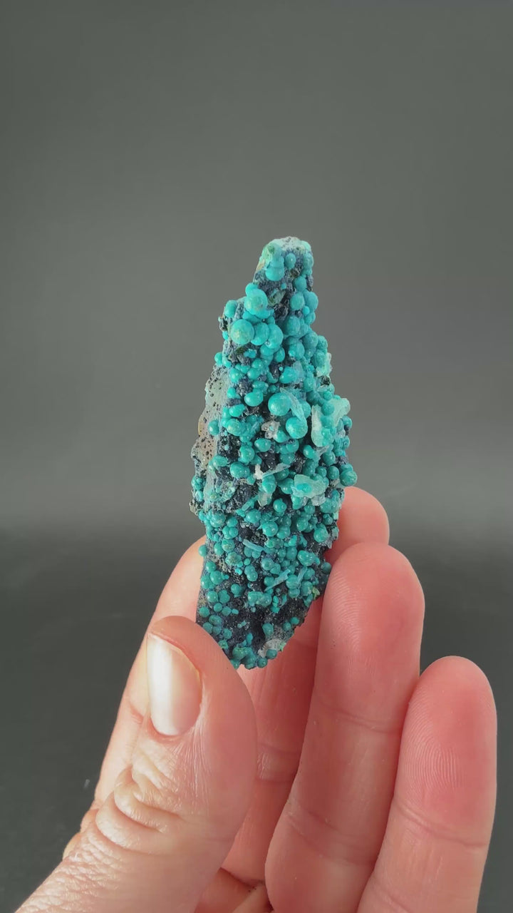 2.25" Quartz with Chrysocolla from Tentadora Mine DX1531