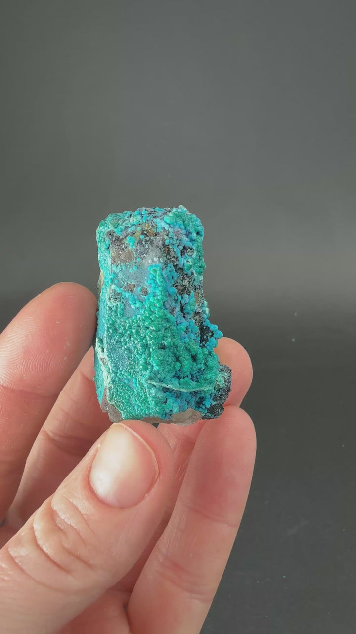1.5" Quartz with Chrysocolla from Tentadora Mine DX1560