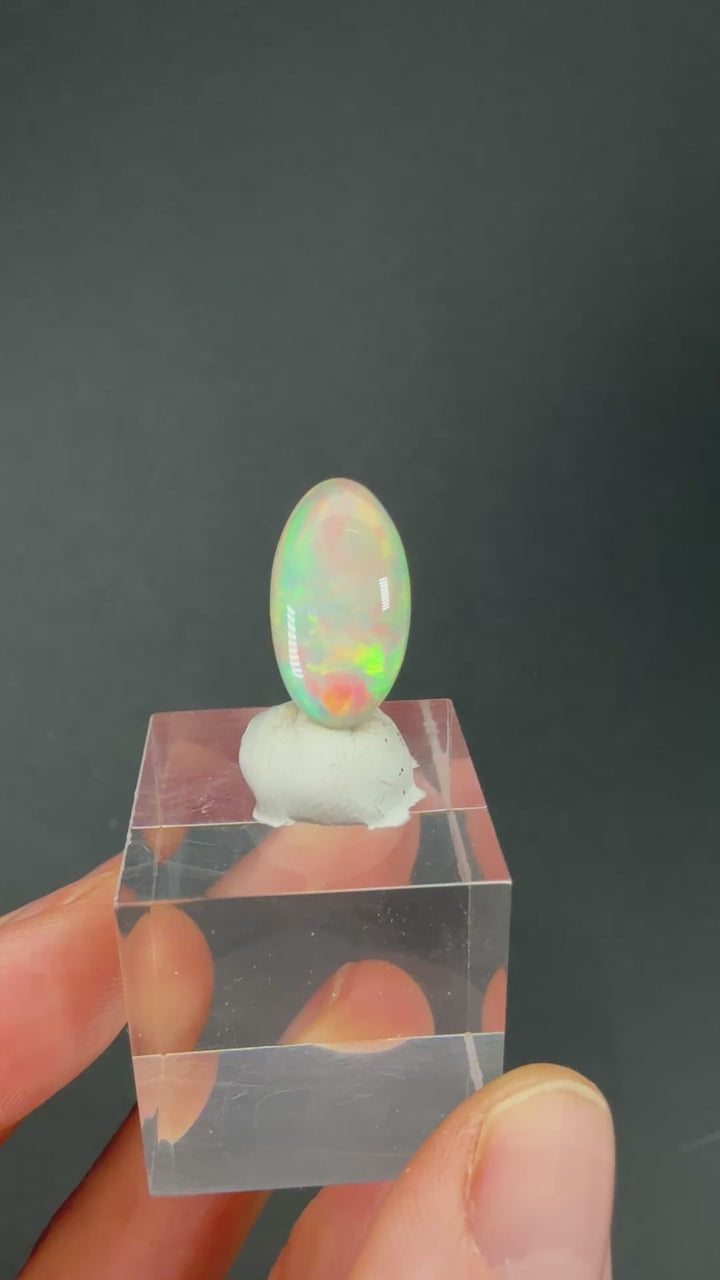 4.6 ct Polished Welo Opal DX2988