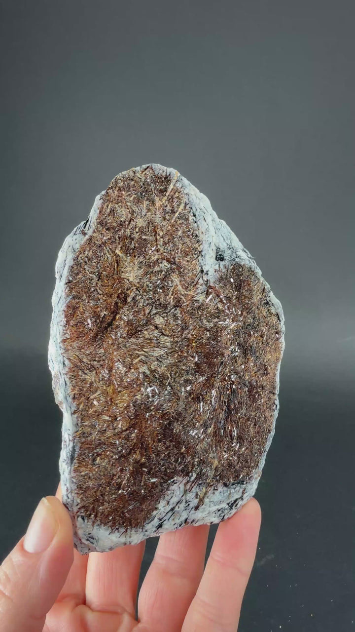 Astrophyllite Specimen from Russia TF2299