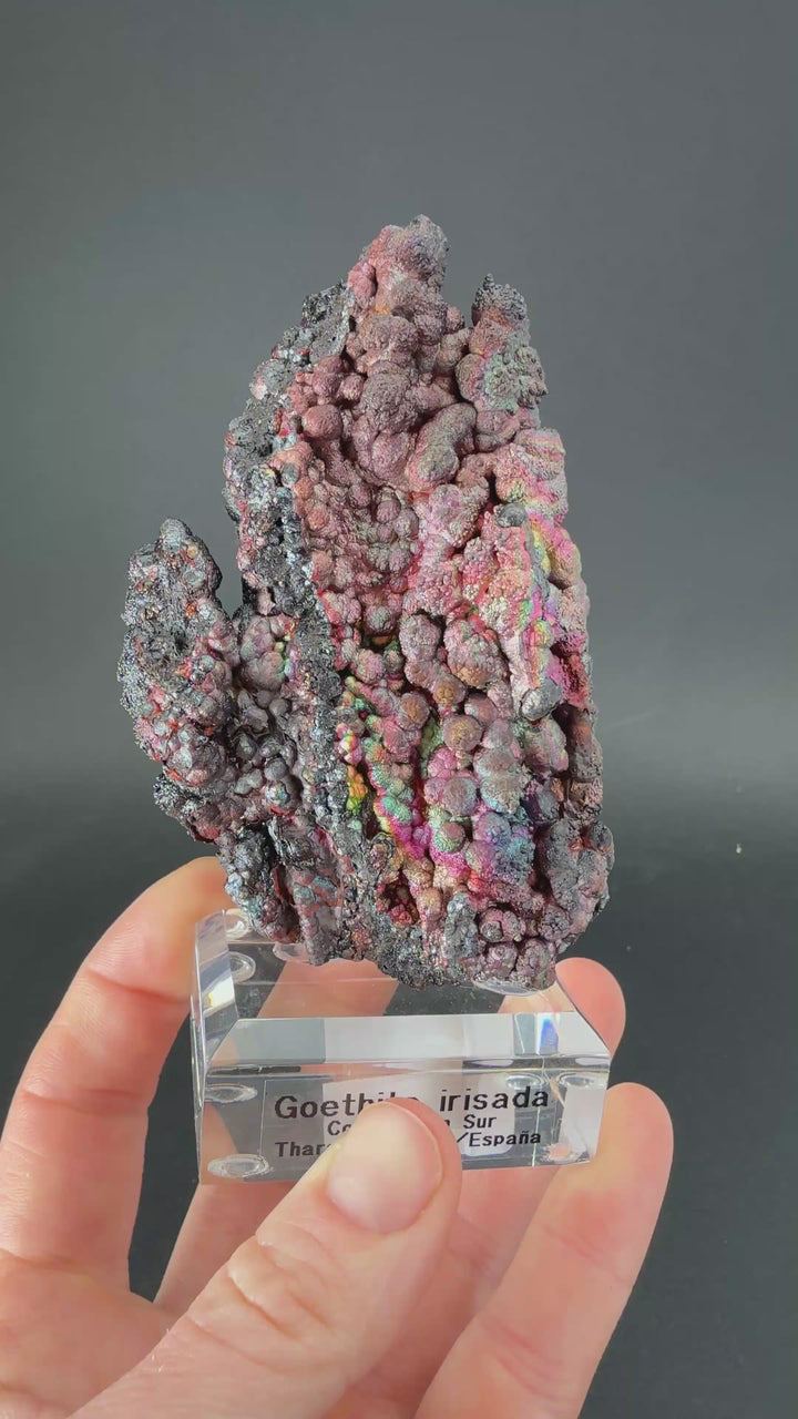 Iridescent Goethite from Spain TF1502