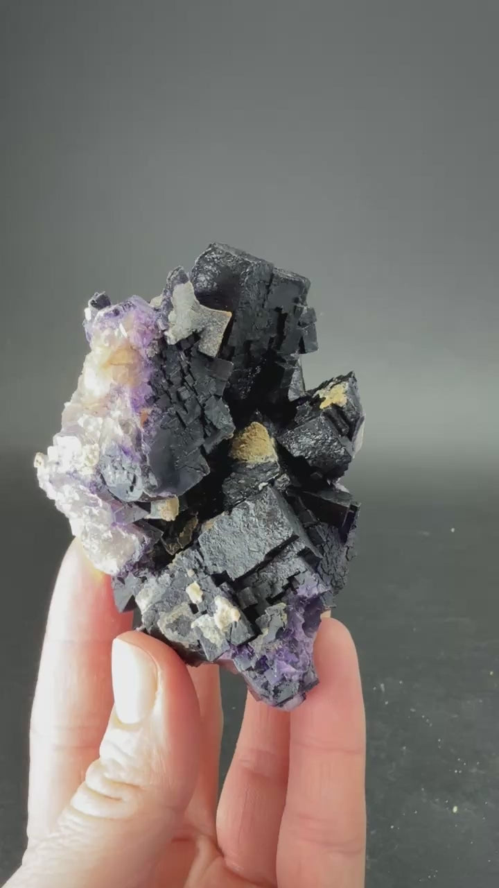 Fluorite from Hastie's Quarry, Illinois TD3972