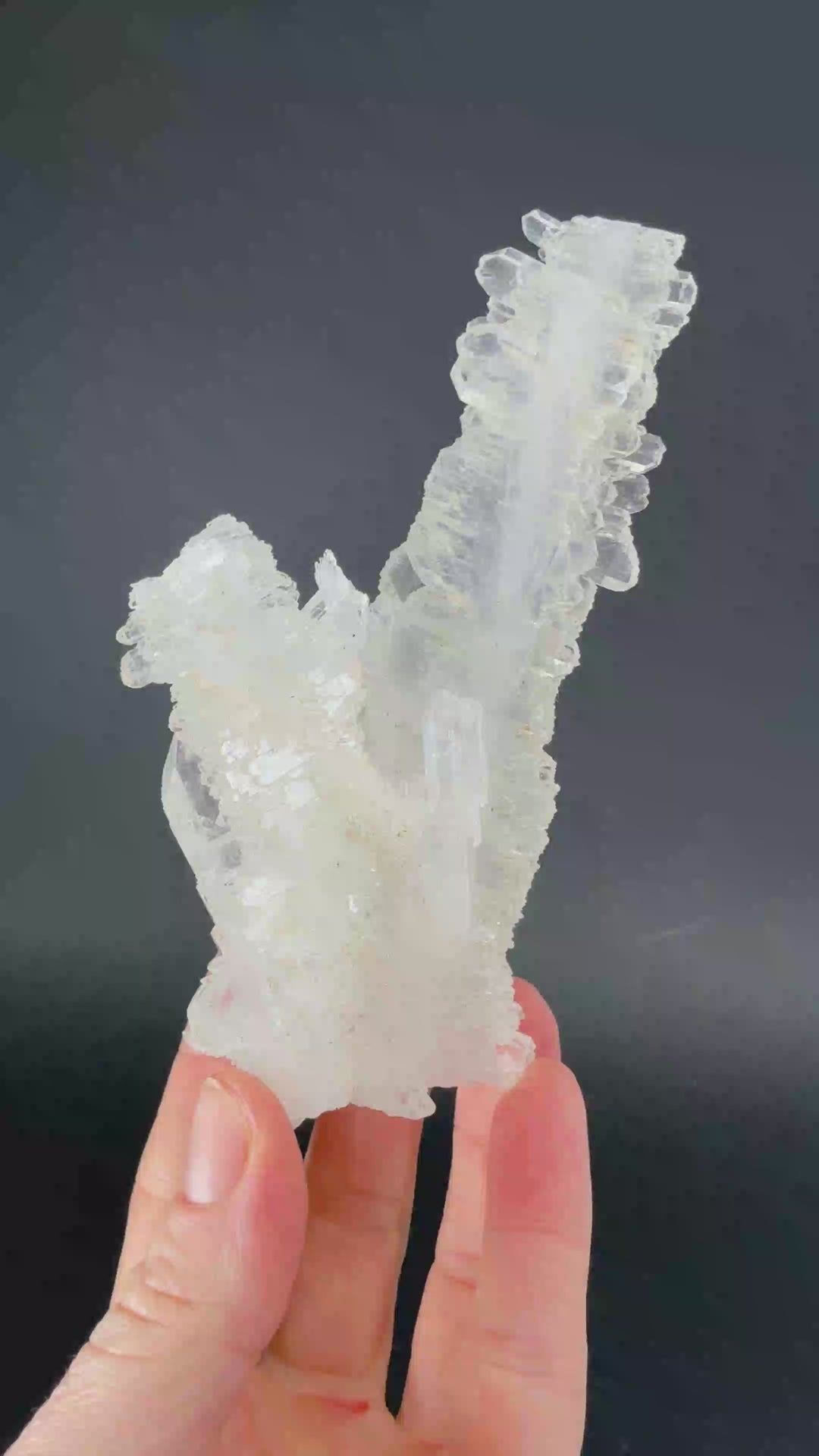 Faden Quartz from Morocco TF3141