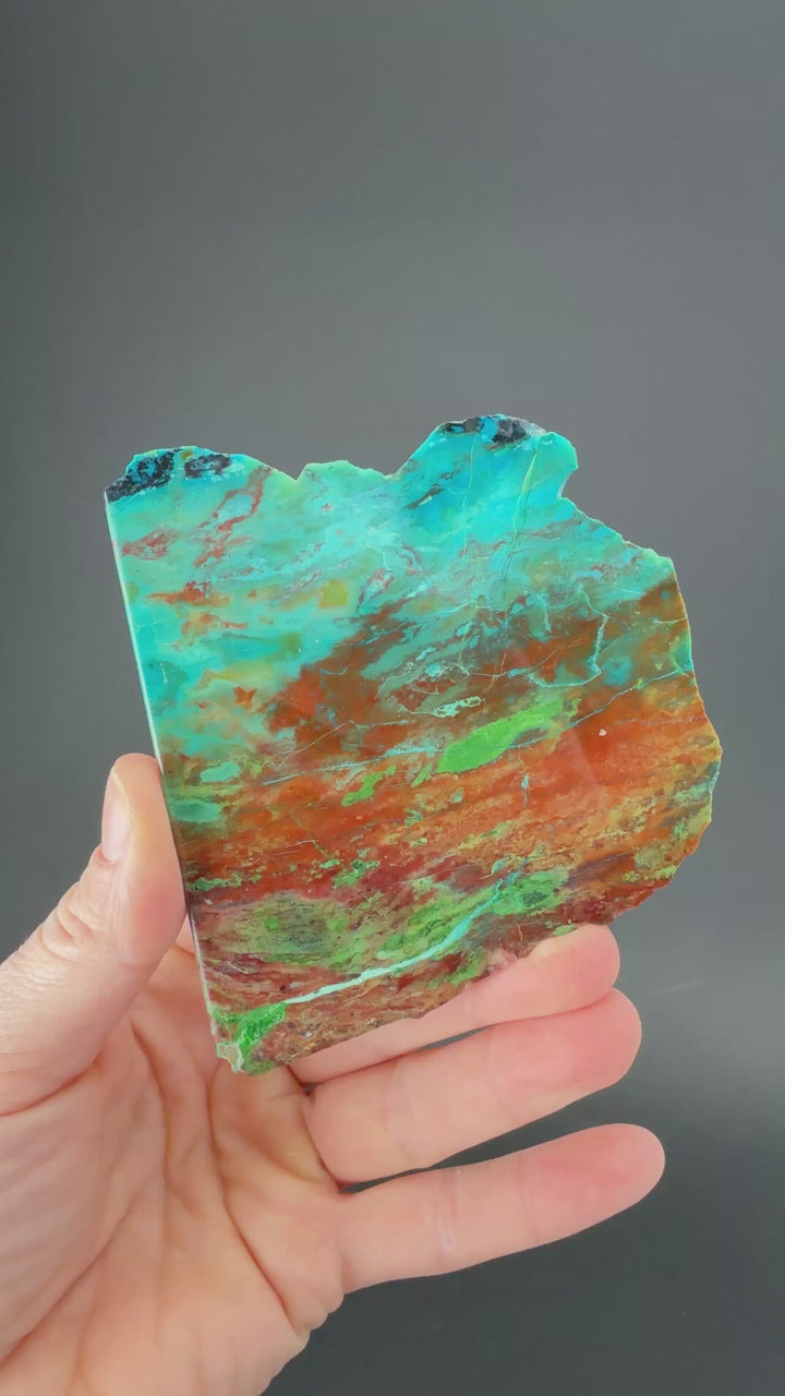 Parrot Wing Jasper Slab DS1859