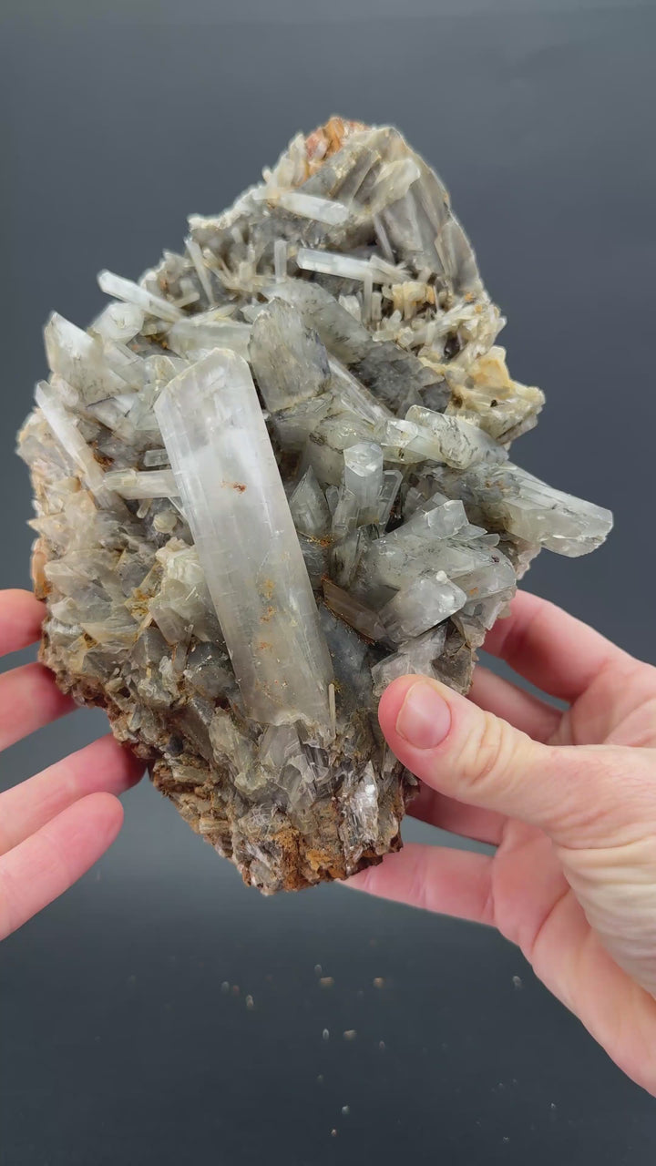 Gypsum Selenite Cluster from Tuscany, Italy TF2602