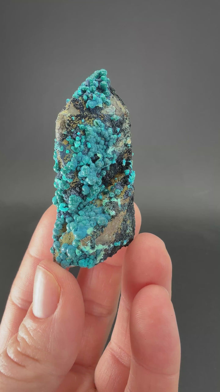 2" Quartz with Chrysocolla from Tentadora Mine DX1521