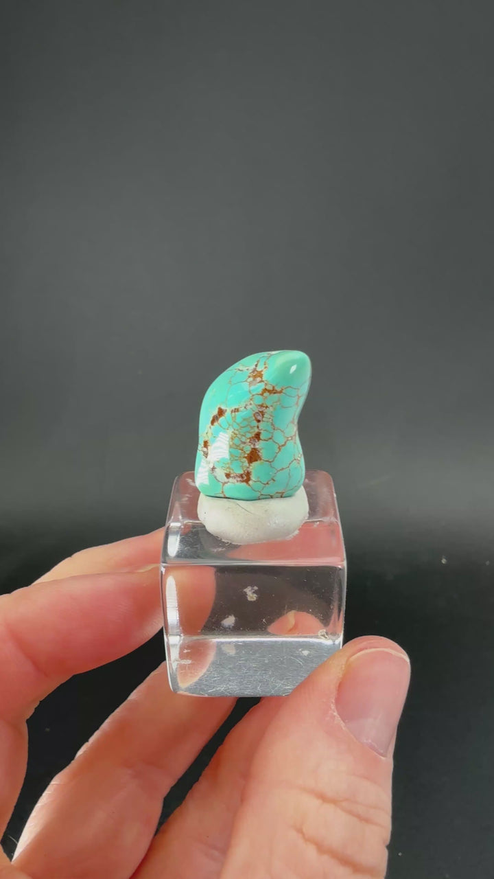 2.52 gram Kazakhstan Turquoise TF2487