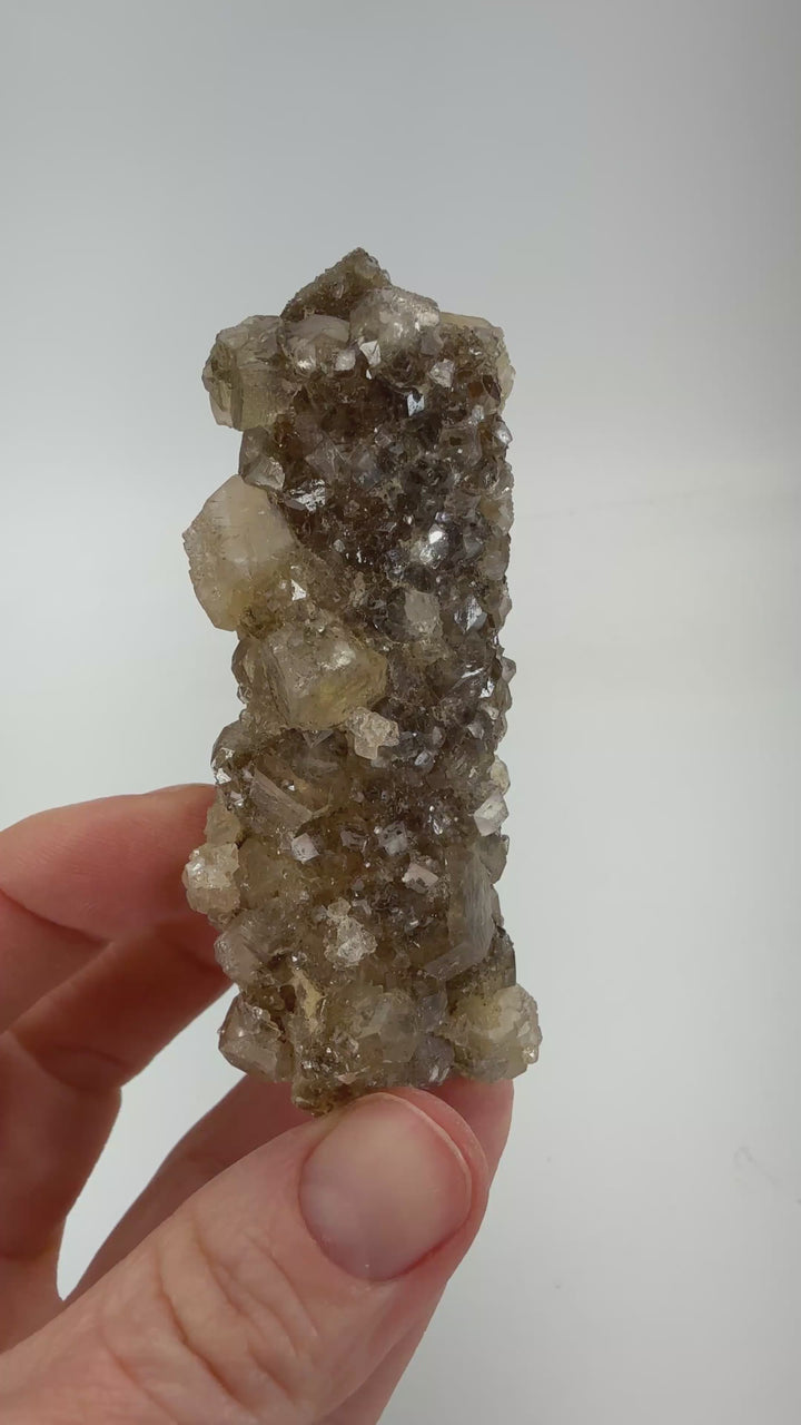 Quartz with Andradite Garnet from Bor Mine DX4540