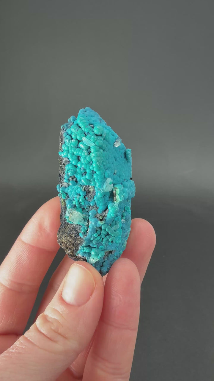 2.25" Quartz with Chrysocolla from Tentadora Mine DX1562