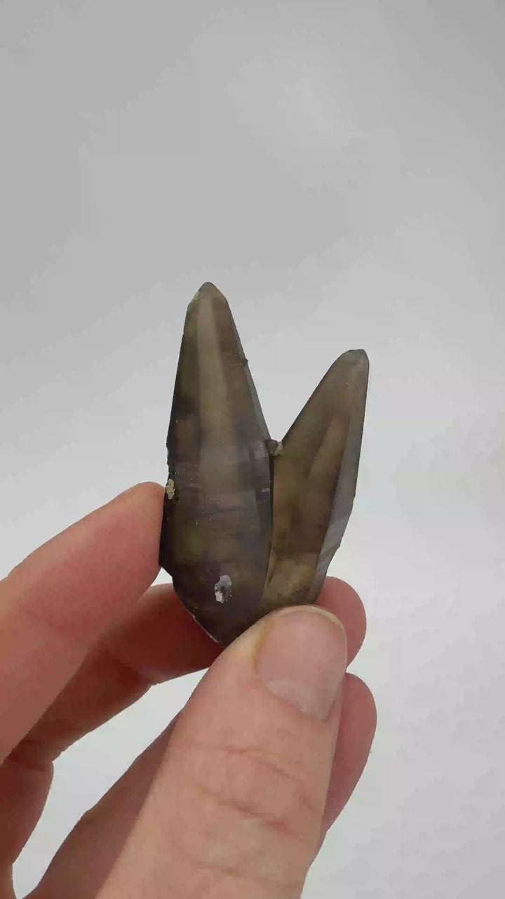 Smoky Quartz Tessin Habit from Namibia DX3525