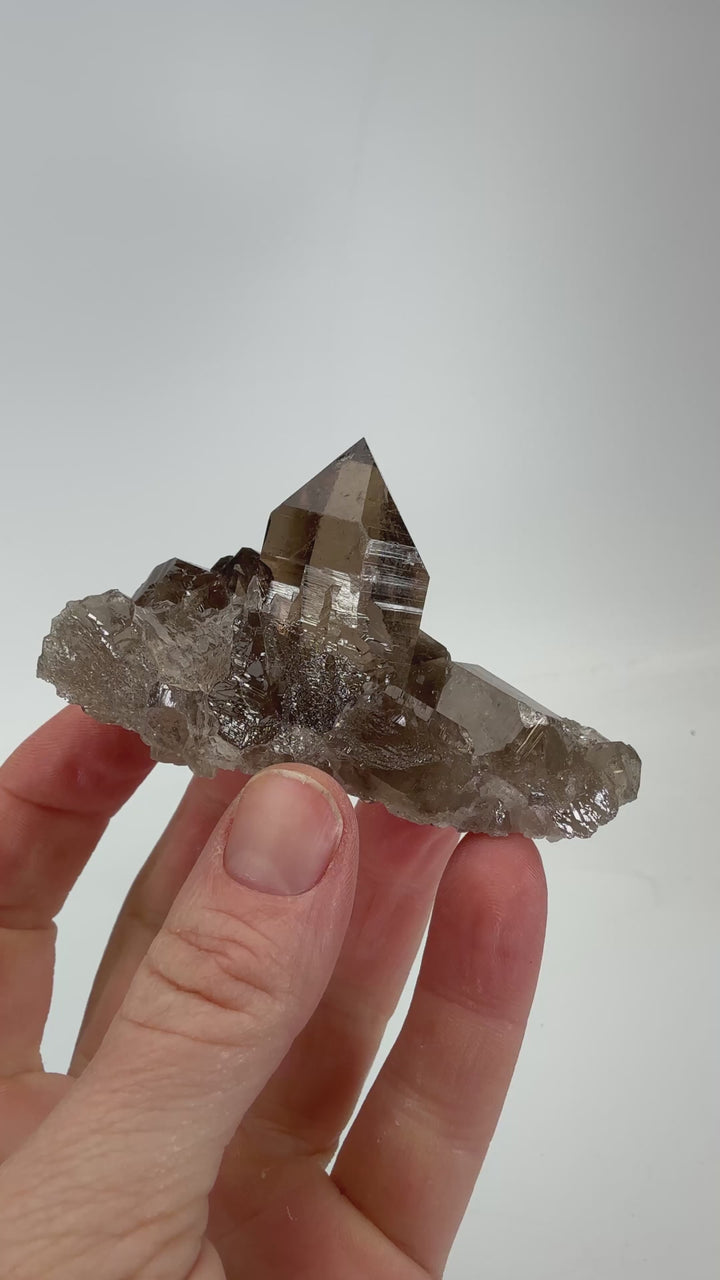 Smoky Quartz from Mt. Blanc TF937