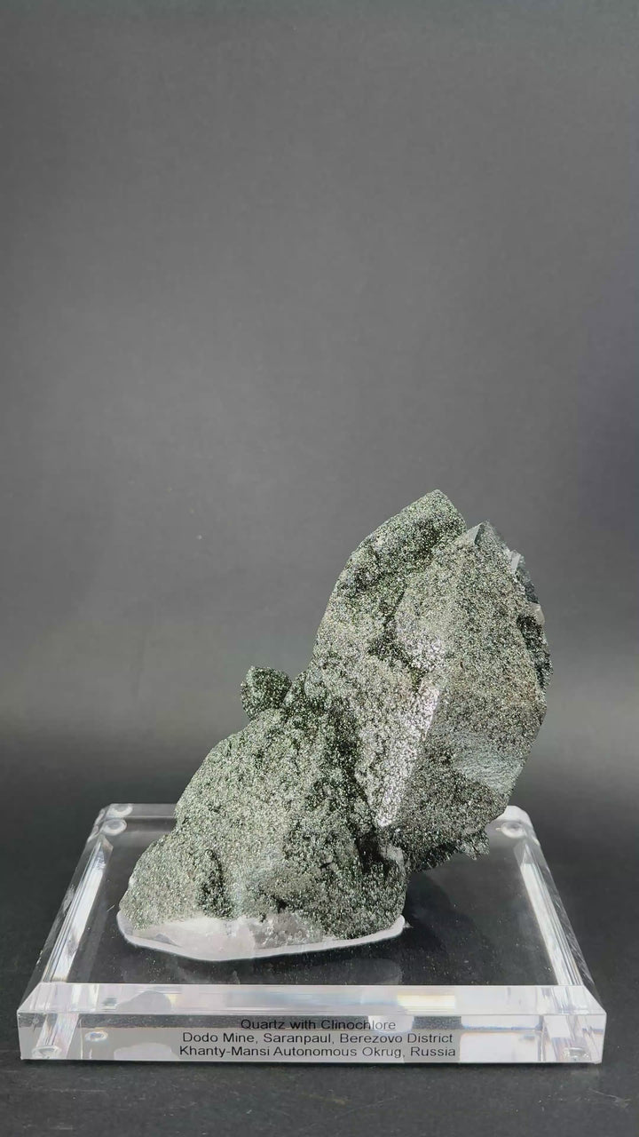 Quartz with Clinochlore on Custom Acrylic Base from Dodo Mine TF1377