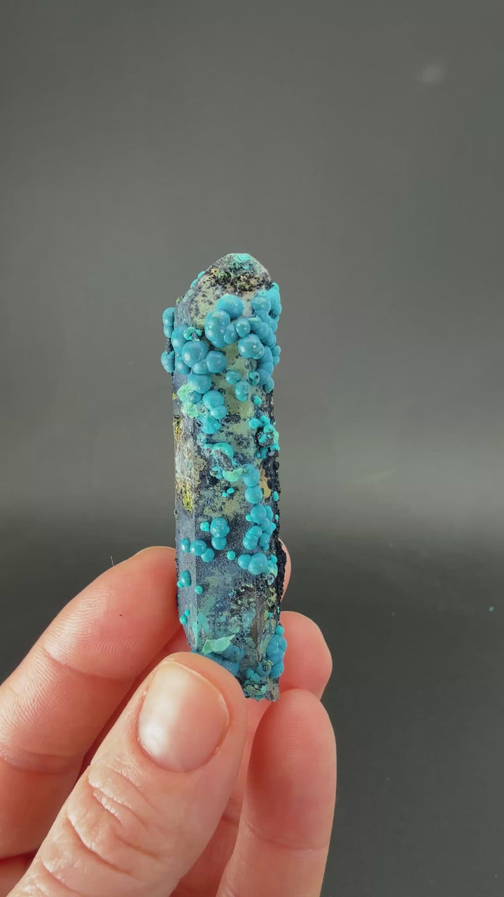 2.5" Quartz with Chrysocolla from Tentadora Mine DX1528
