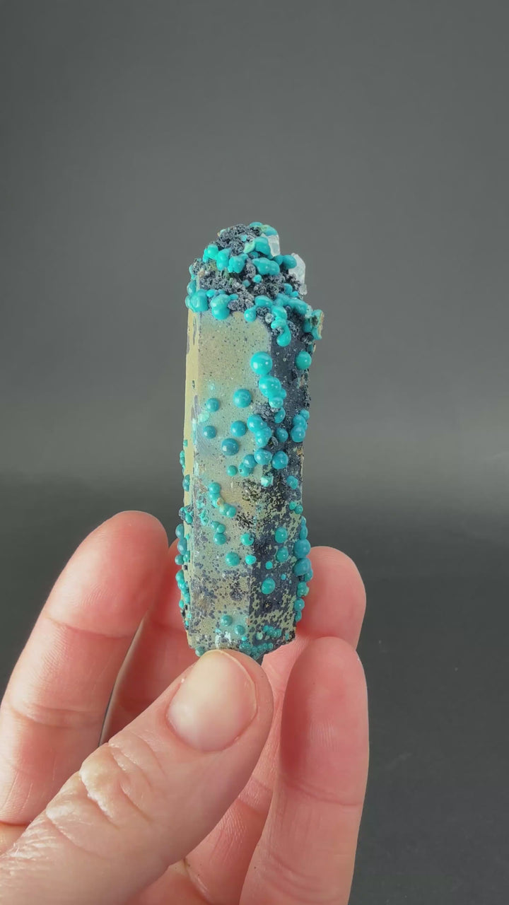 2.5" Quartz with Chrysocolla from Tentadora Mine DX1527