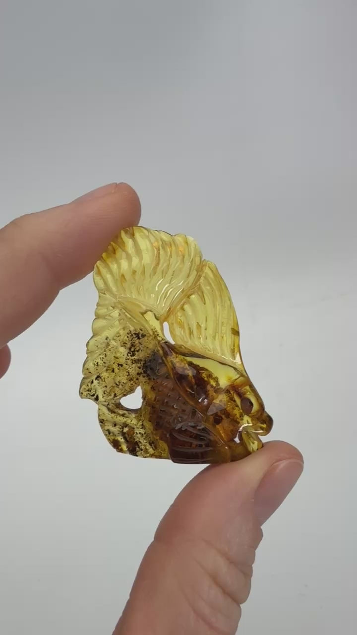 Baltic Amber Goldfish Carving TD4012