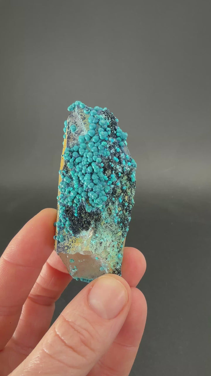 2.75" Quartz with Chrysocolla from Tentadora Mine DX1532