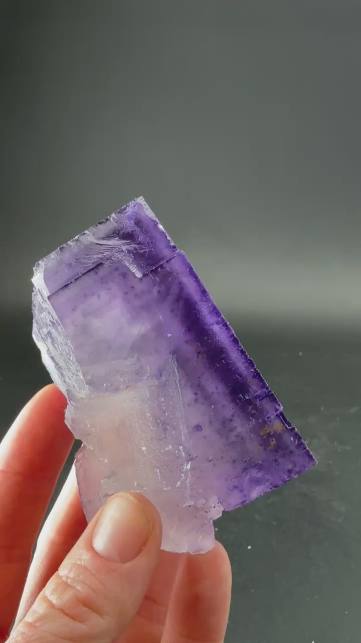 Fluorite from Hastie's Quarry, Illinois TD3974