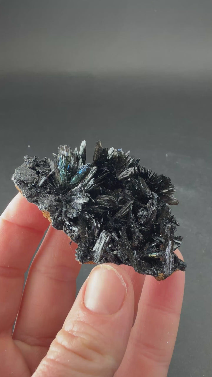 Vivianite Crystal Specimen from Ukraine TF2677