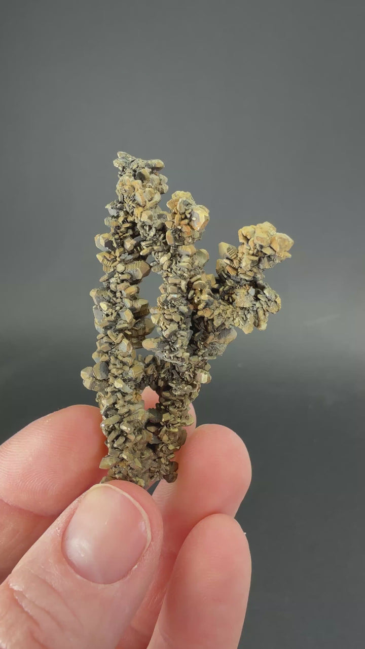 Marcasite Stalactite from Linwood Mine DX3173