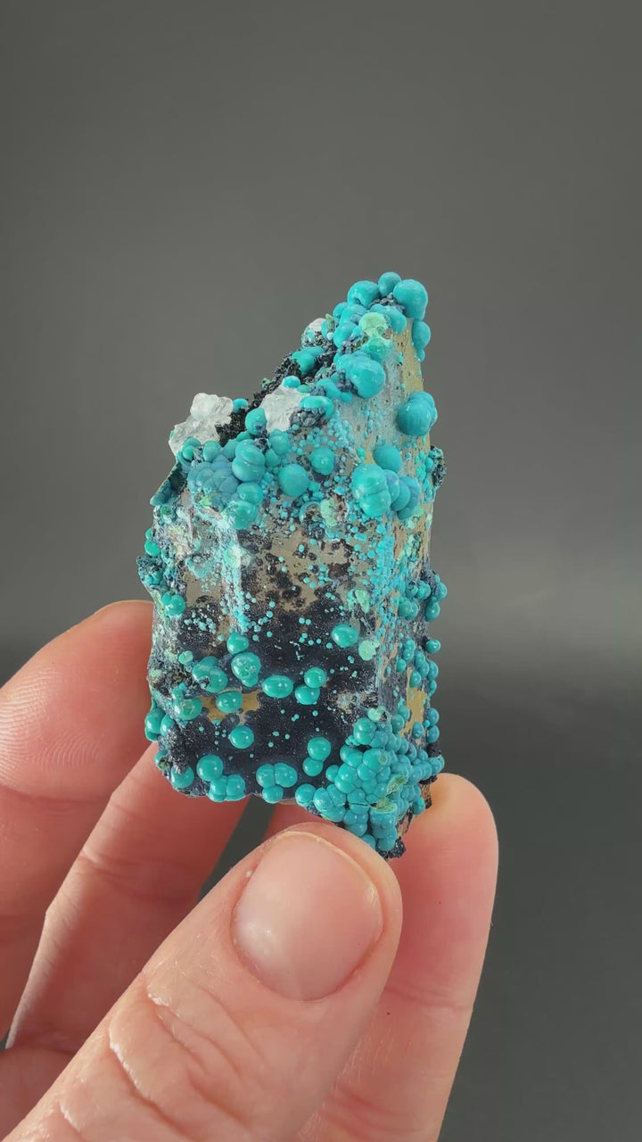2.25" Quartz with Chrysocolla from Tentadora Mine DX1574