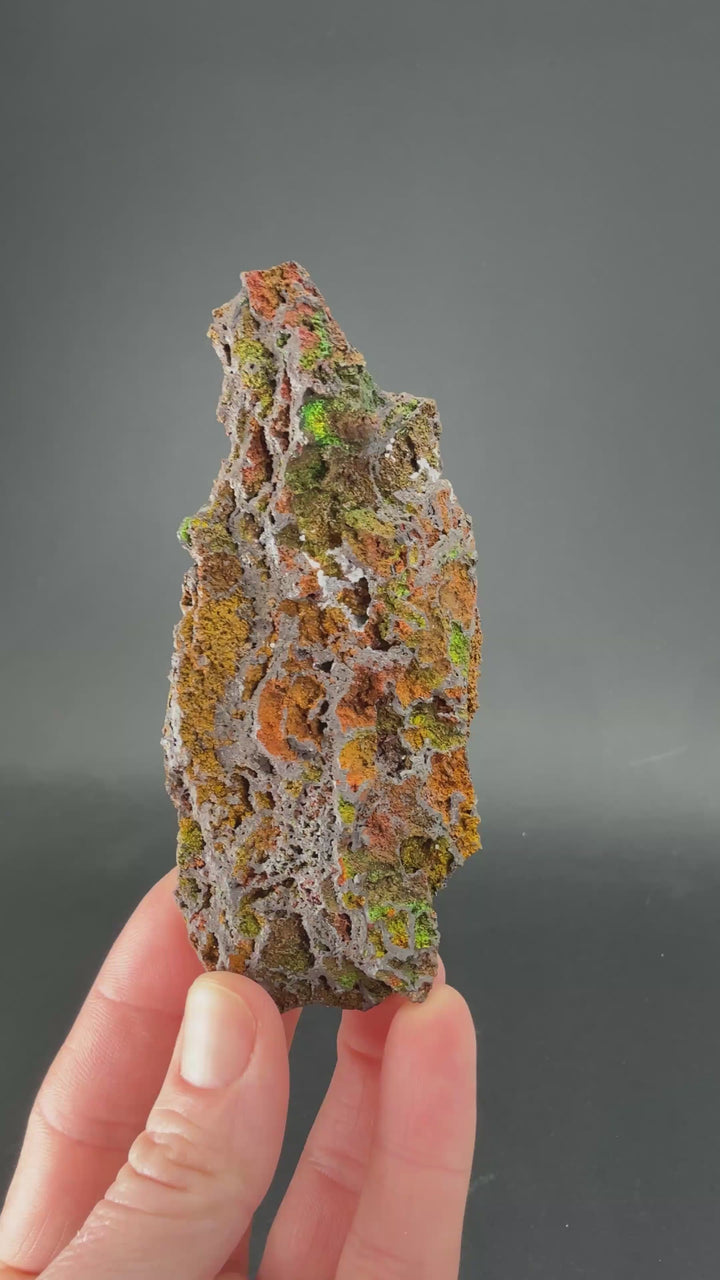 Iridescent Goethite (Turgite) from Mexico DS1443