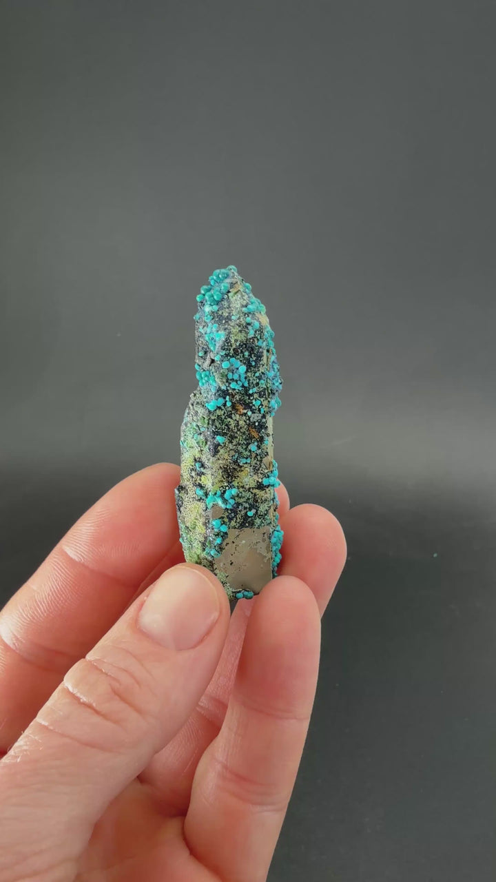 2.25" Quartz with Chrysocolla from Tentadora Mine DX1523