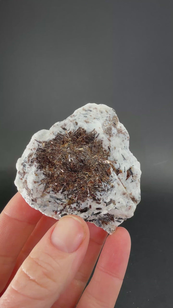 Astrophyllite Specimen from Russia TF3268