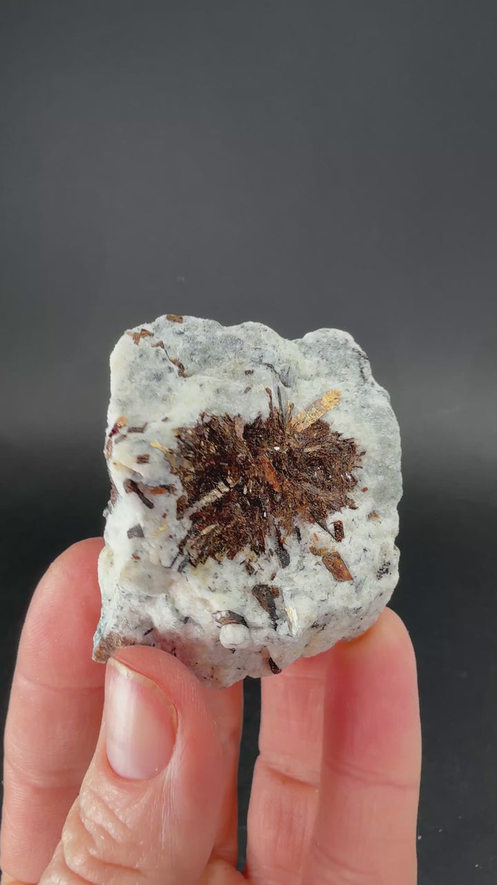 Astrophyllite Specimen from Russia TF3267