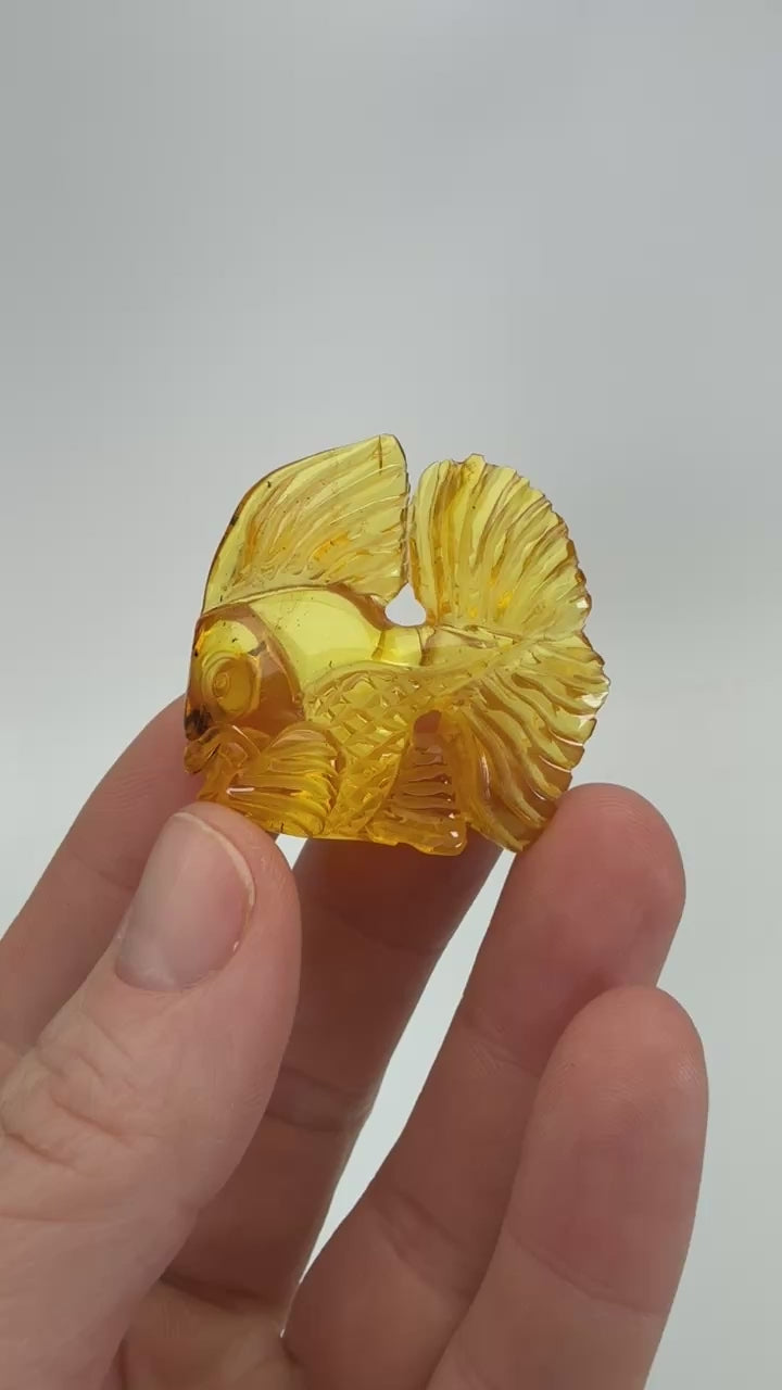 Baltic Amber Goldfish Carving DX4315