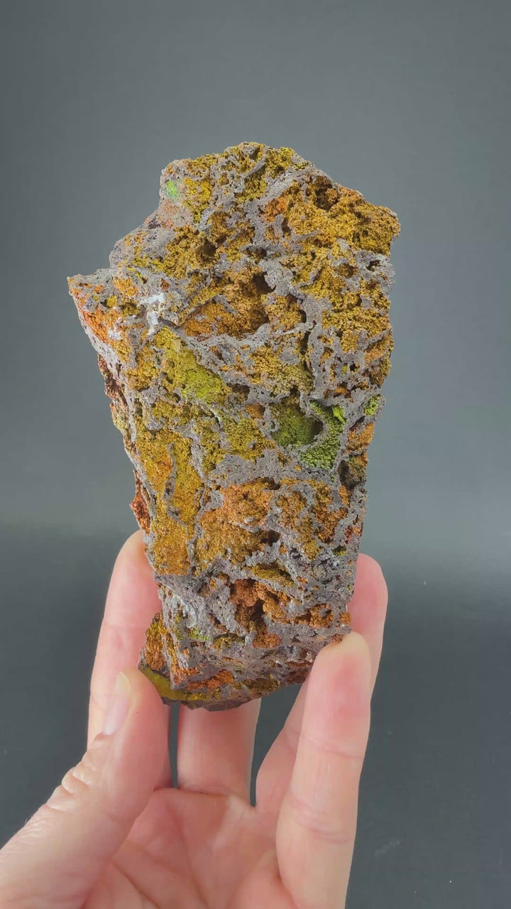 Iridescent Goethite (Turgite) from Mexico DS1444