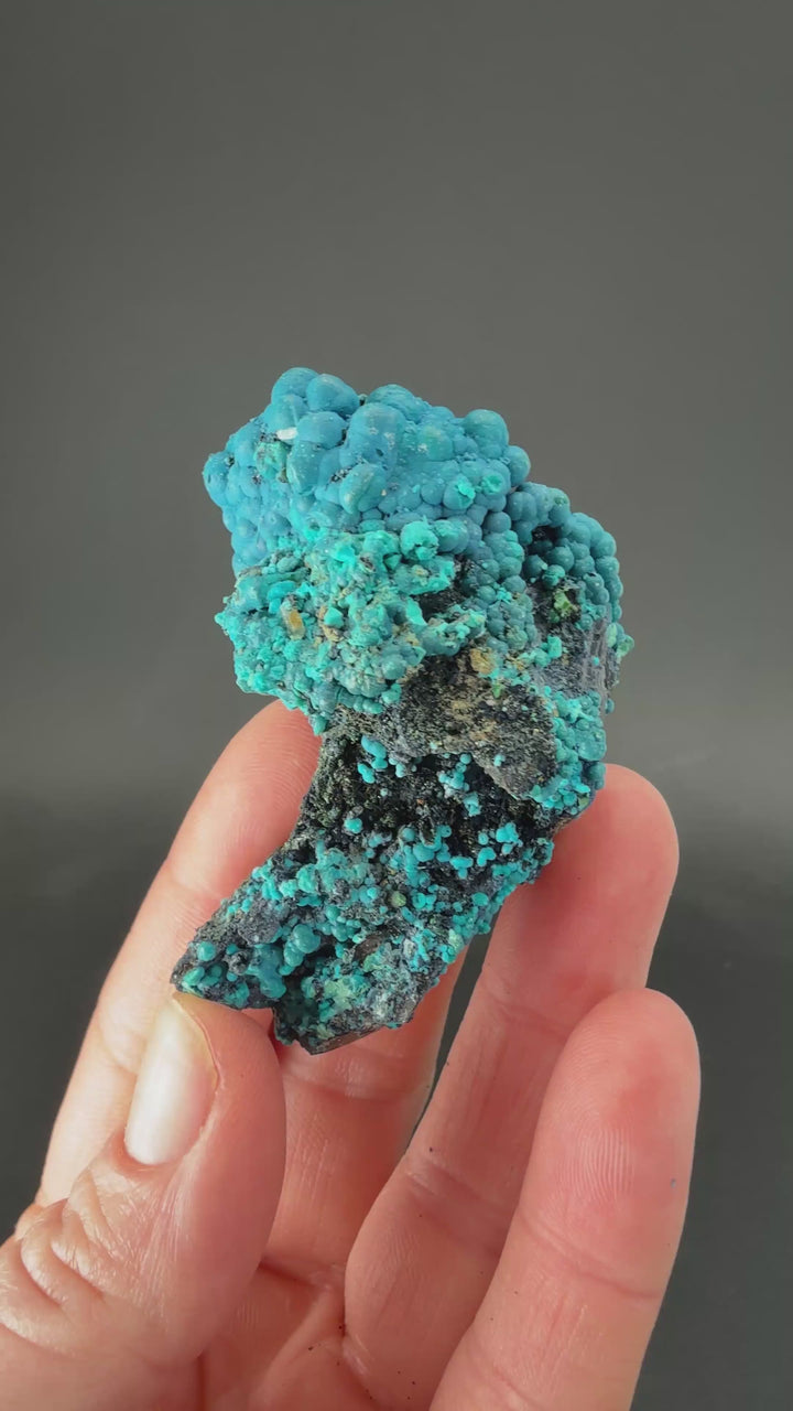 2" Quartz with Chrysocolla from Tentadora Mine DX1569