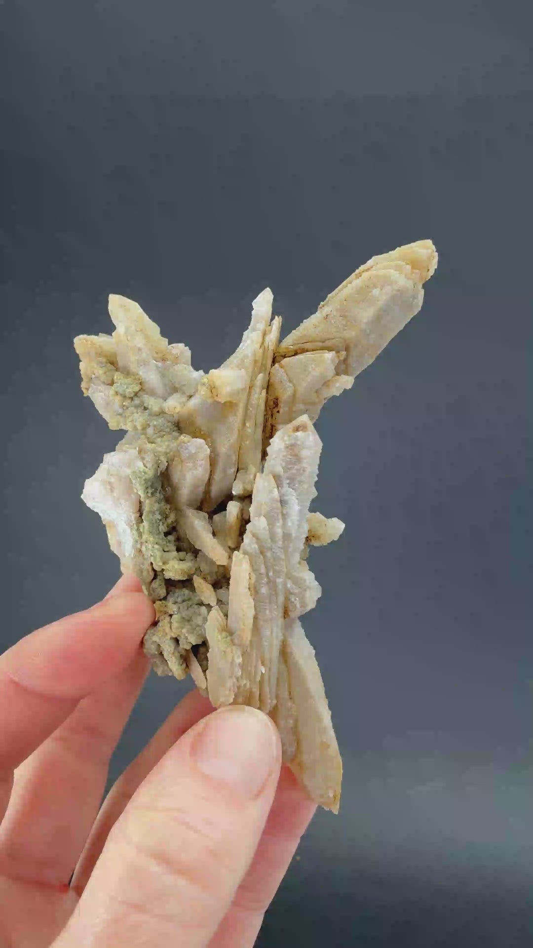 Growth Interference Quartz with Andradite Garnet from Bor Mine DS2563