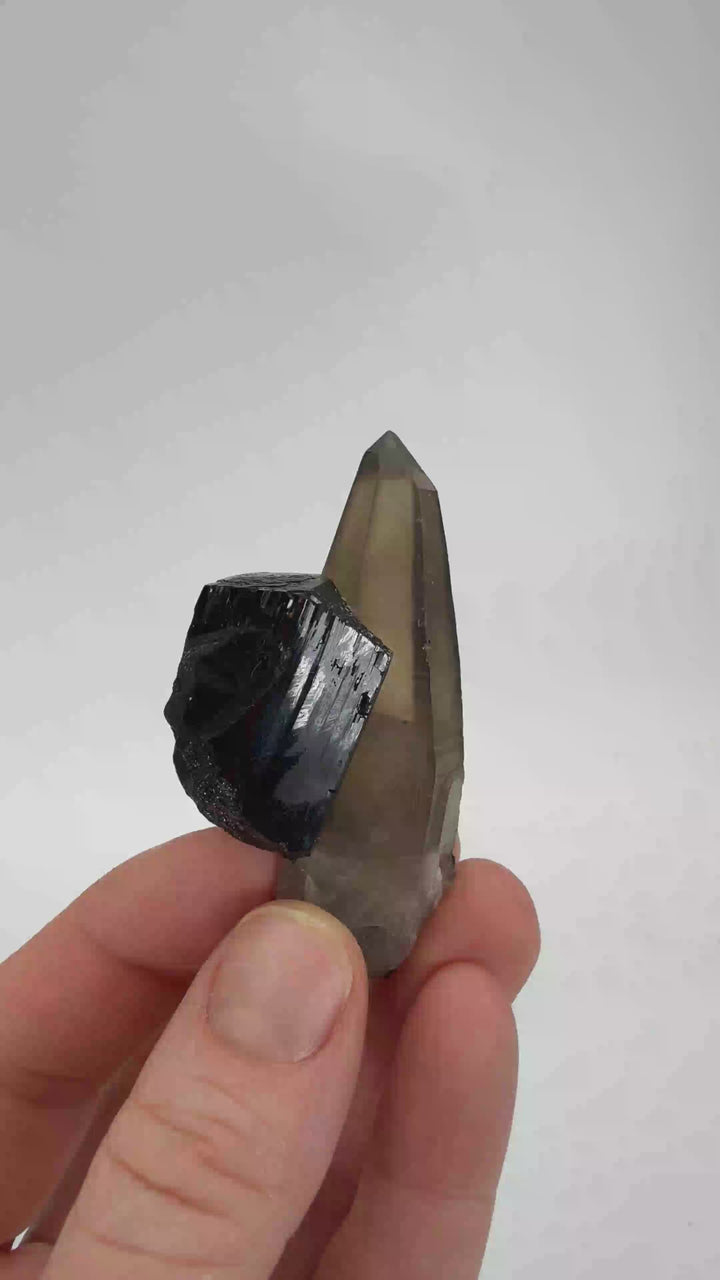 Smoky Quartz on Schorl from Namibia DX3509