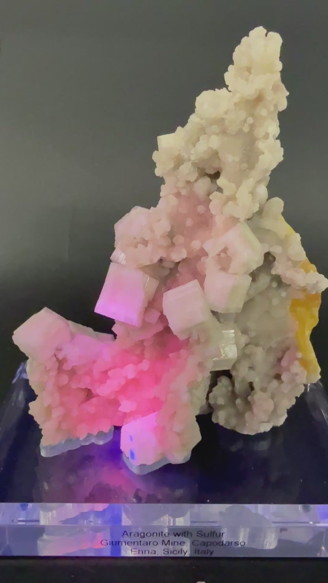 Aragonite with Sulfur on Acrylic Base DX3532