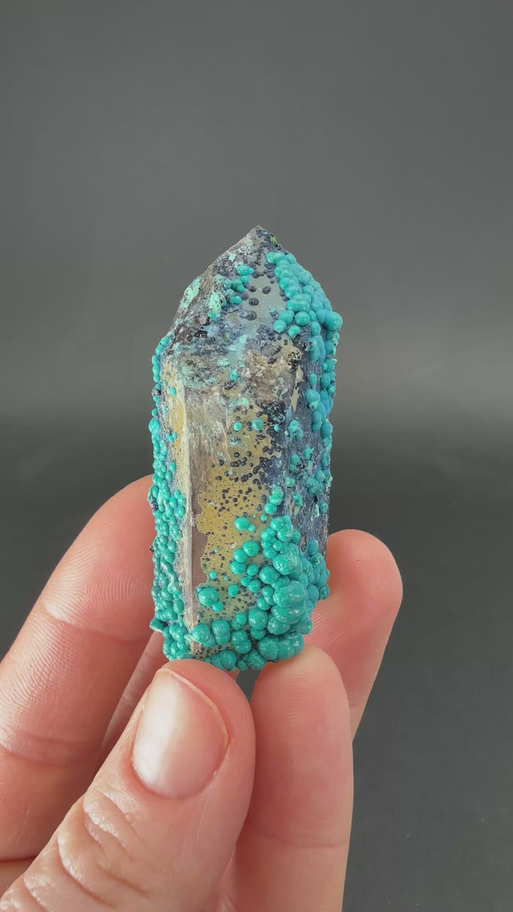 2" Quartz with Chrysocolla from Tentadora Mine DX1571