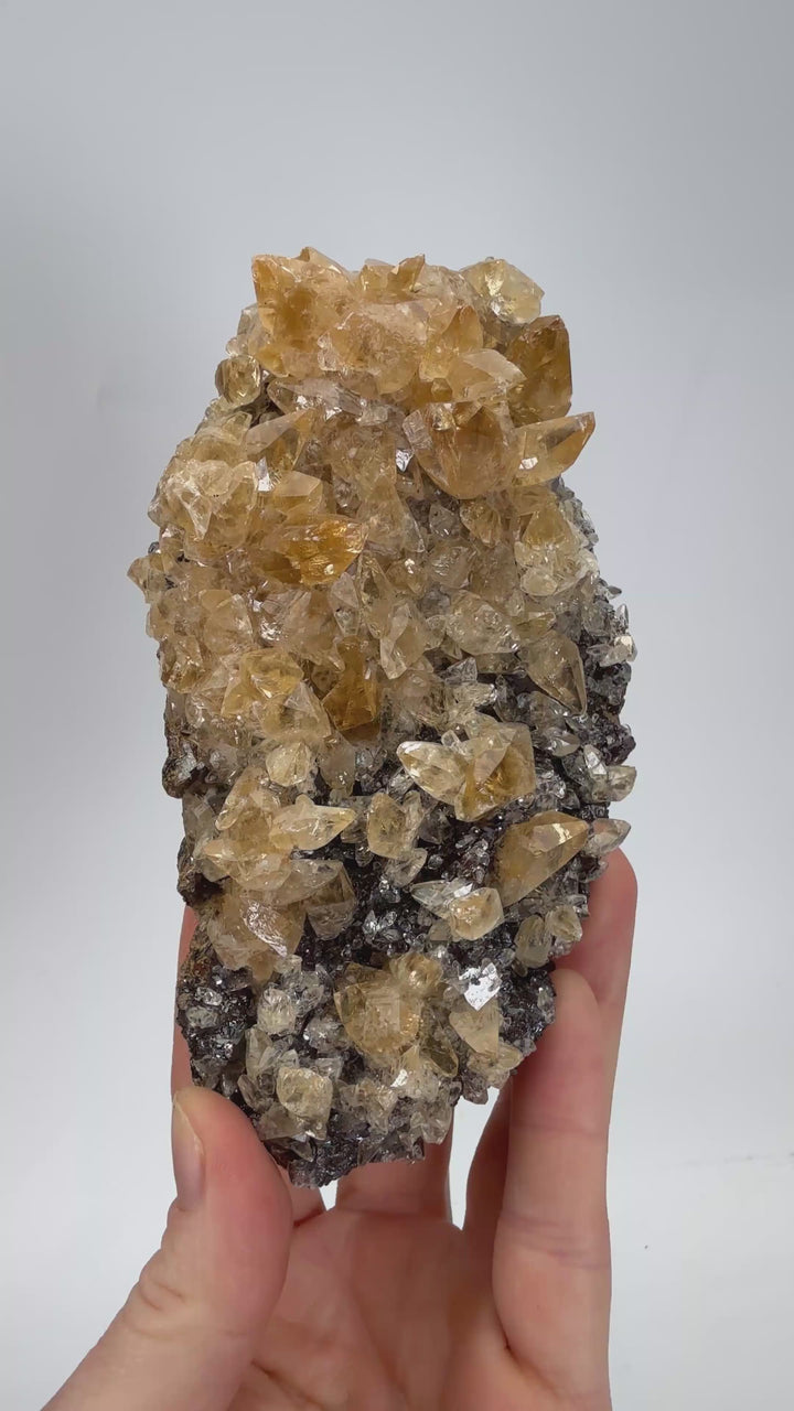 Calcite on Sphalerite - Elmwood Mine DS1419