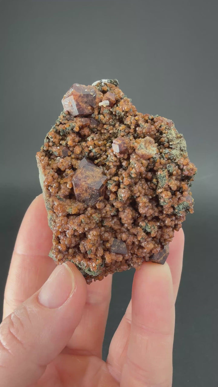 Andradite Garnet on Hedenbergite TF1809