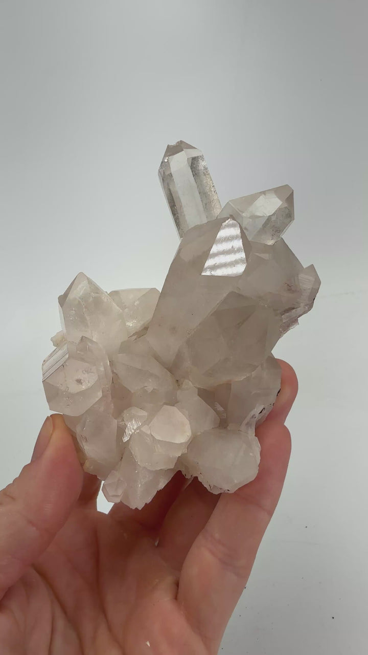 Himalayan Quartz Cluster DX2623