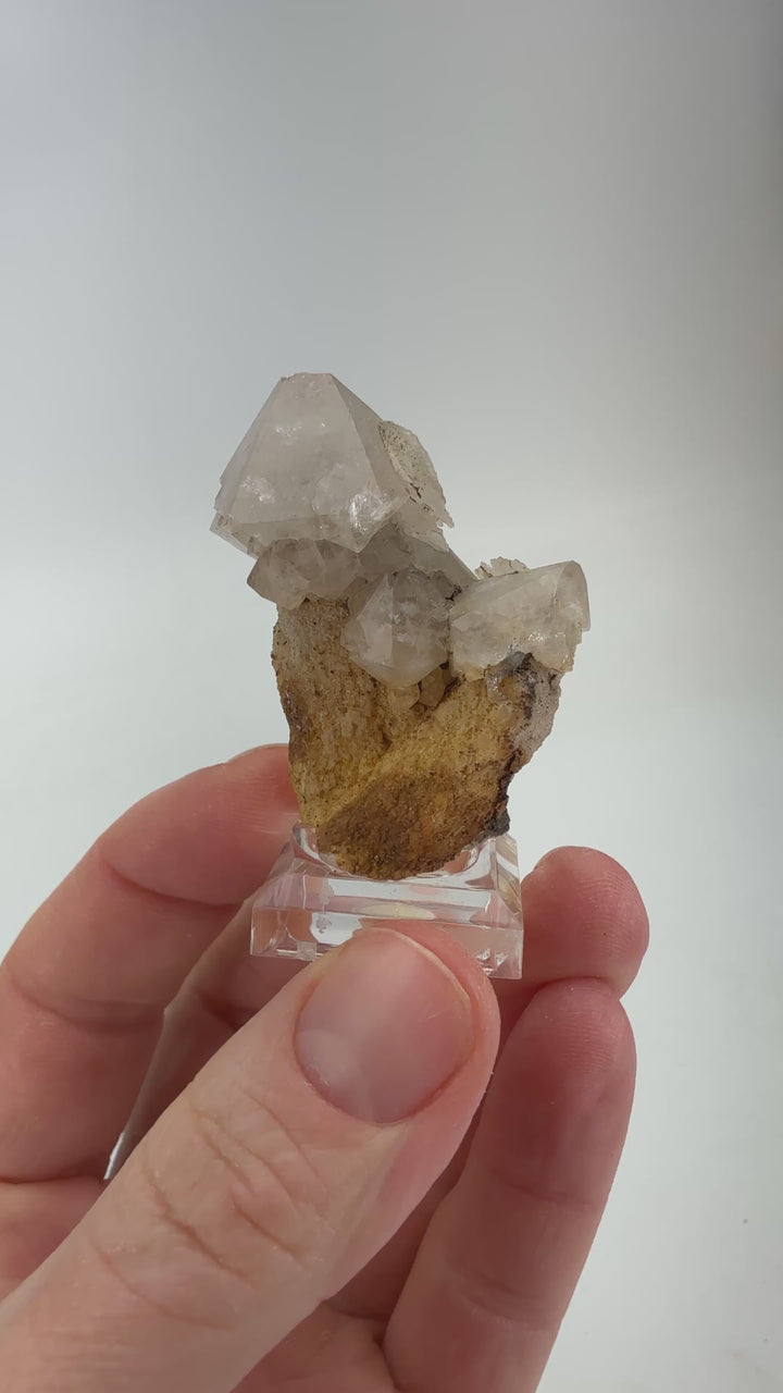 Quartz Scepter DM707
