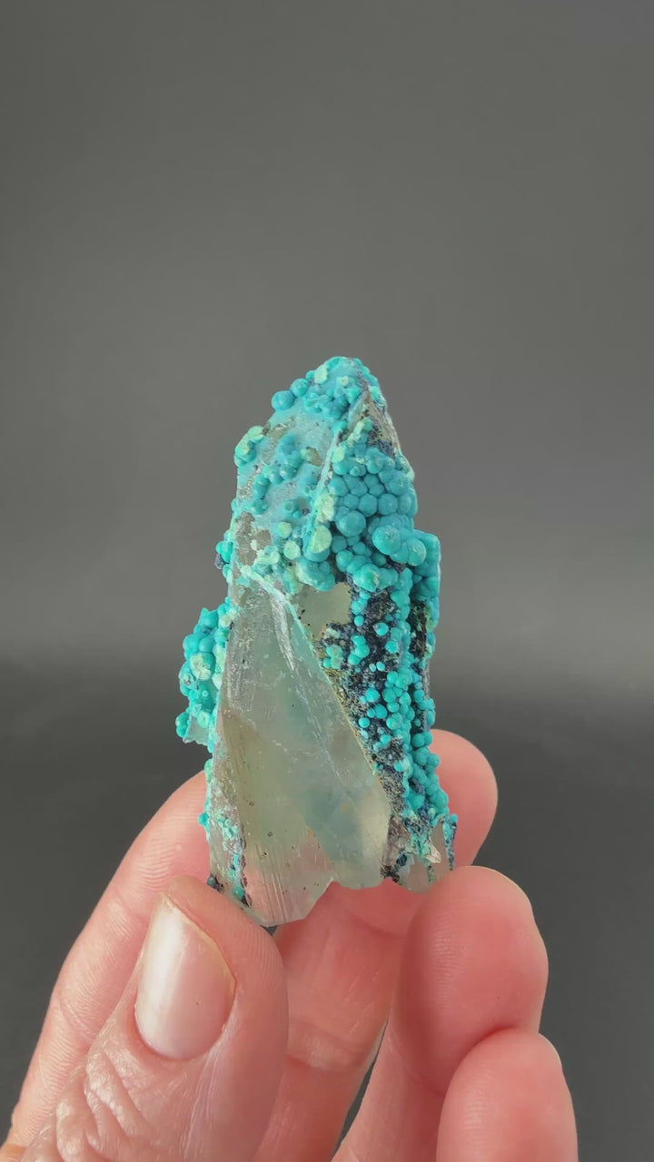2" Quartz with Chrysocolla from Tentadora Mine DX1558