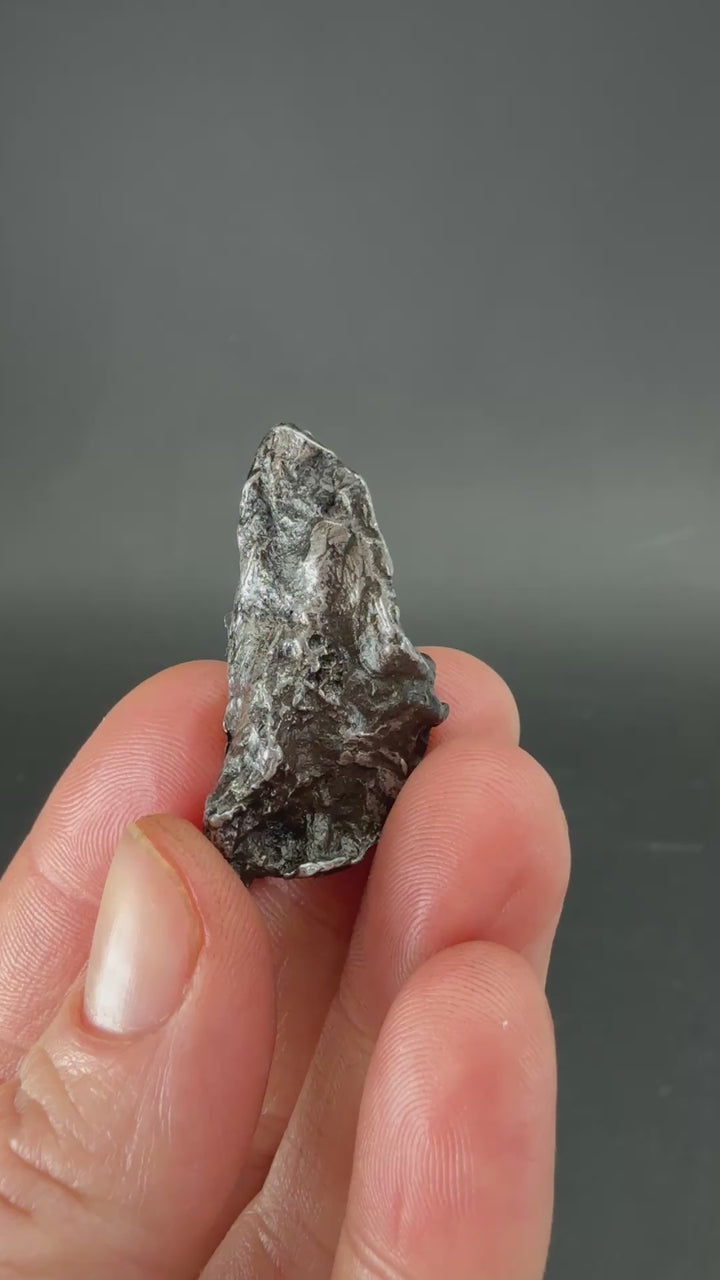 19 gram Sikhote-Alin Meteorite TZ1324