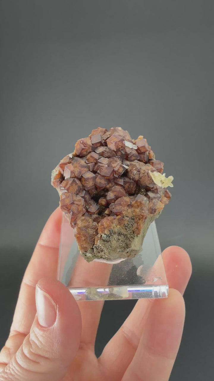 Andradite Garnet on Hedenbergite TF1808