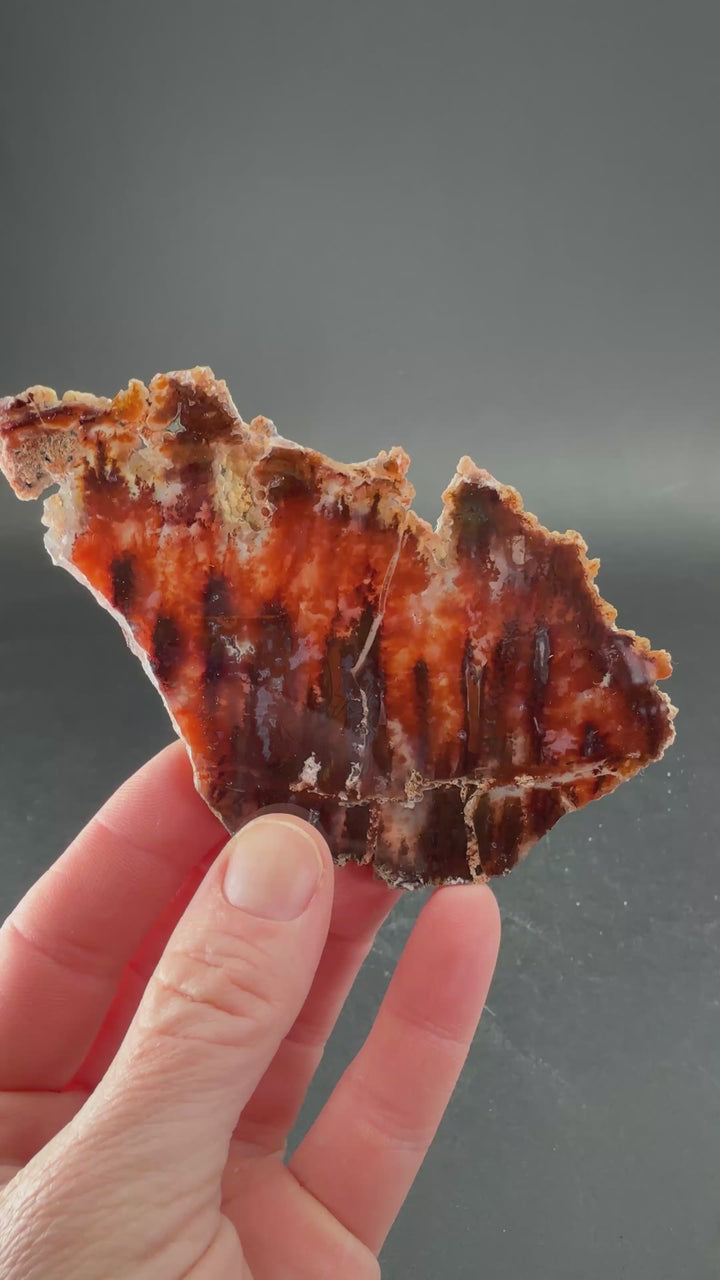 Sicat Agate Slab DS1095