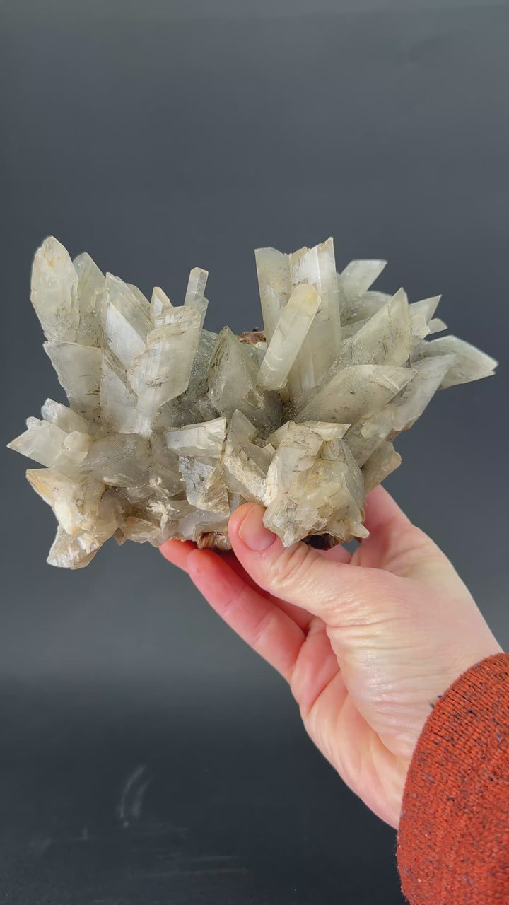 Gypsum Selenite Cluster from Tuscany, Italy TF8001